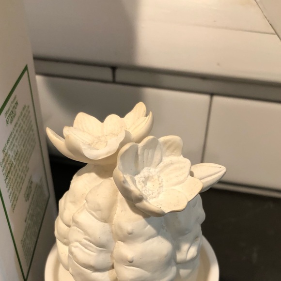 Anthropologie Cactus Diffuser - Picture 2 of 4